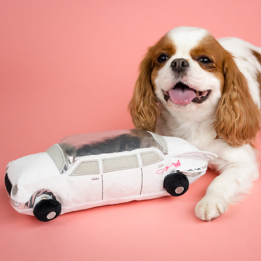 Dolly's Dream Car Plush Dog Toy