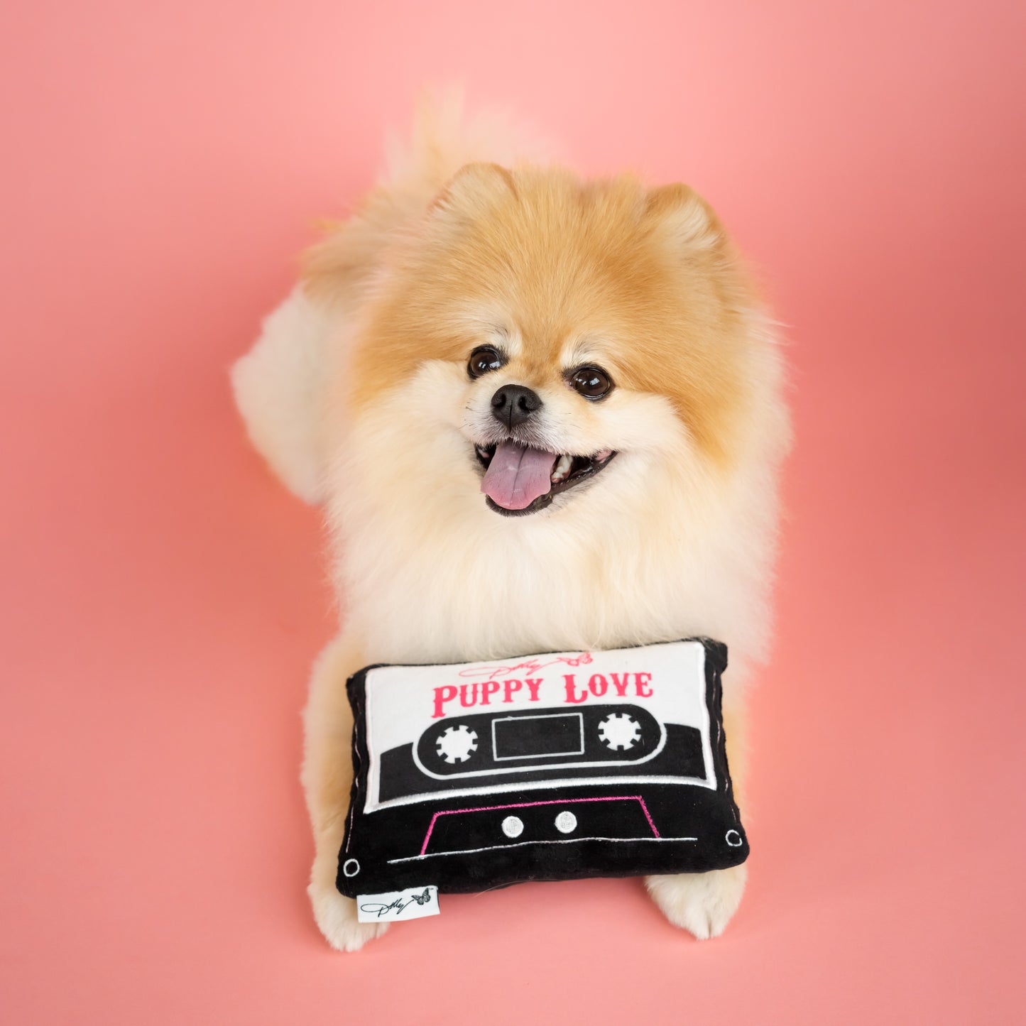 Puppy Love Cassette Tape Plush Crinkle Dog Toy