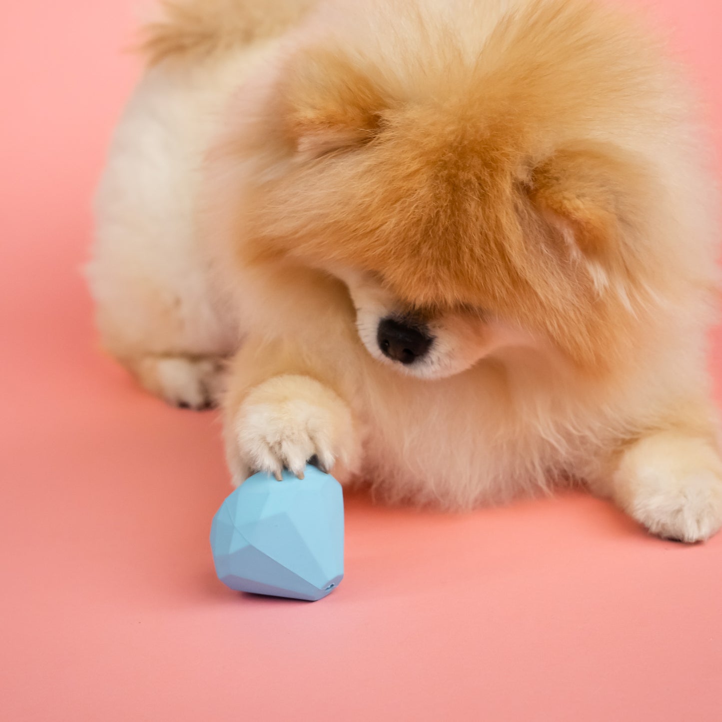 Diamond Rubber Dog Toy