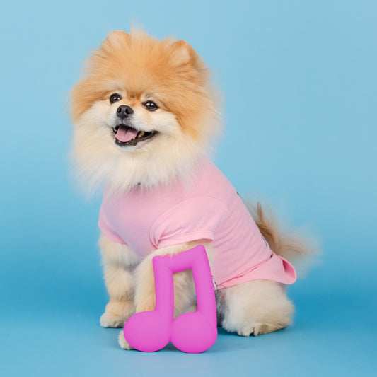 Pink Music Note Rubber Dog Toy