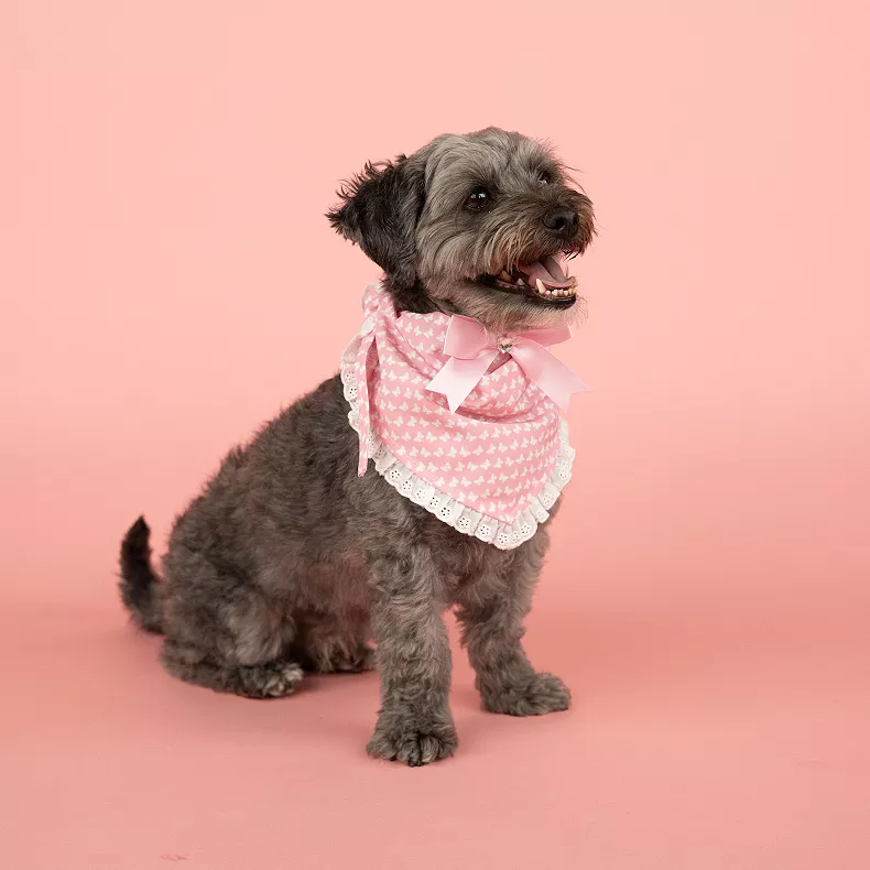Pink Butterfly Print Dog Bandana for Pets