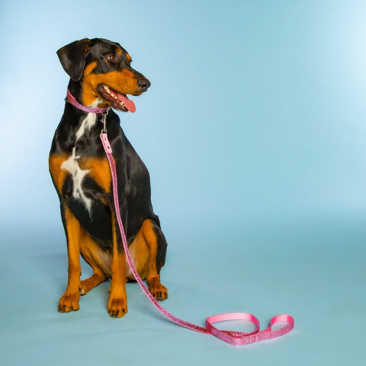 Pretty Little Lady Pink Sequined Two-Piece Collar and Leash Set