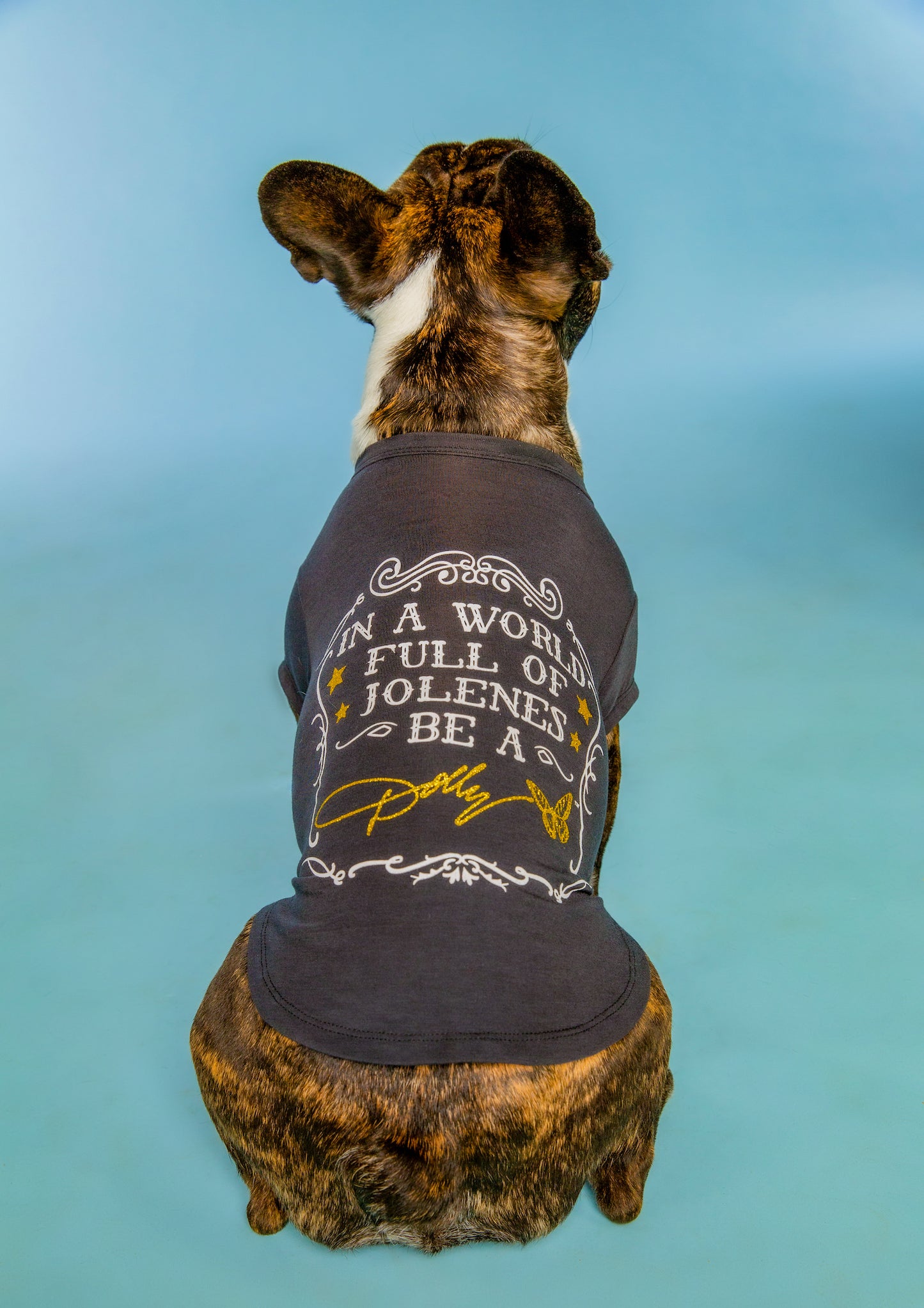 In a World Full of Jolenes Be a Dolly Black Shirt for Pets