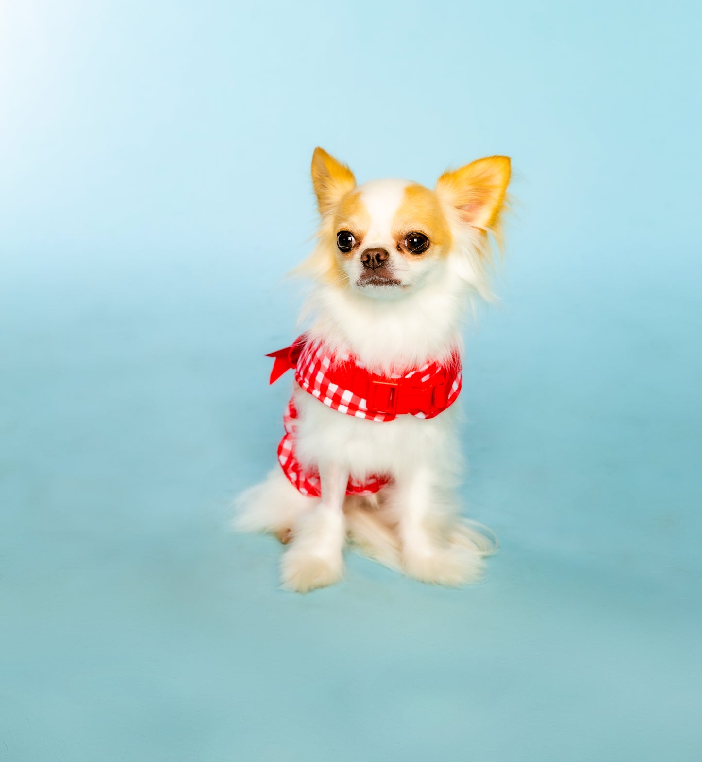 Gingham Print Body Harness for Pets